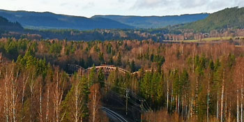 Bron 1885 i skogen